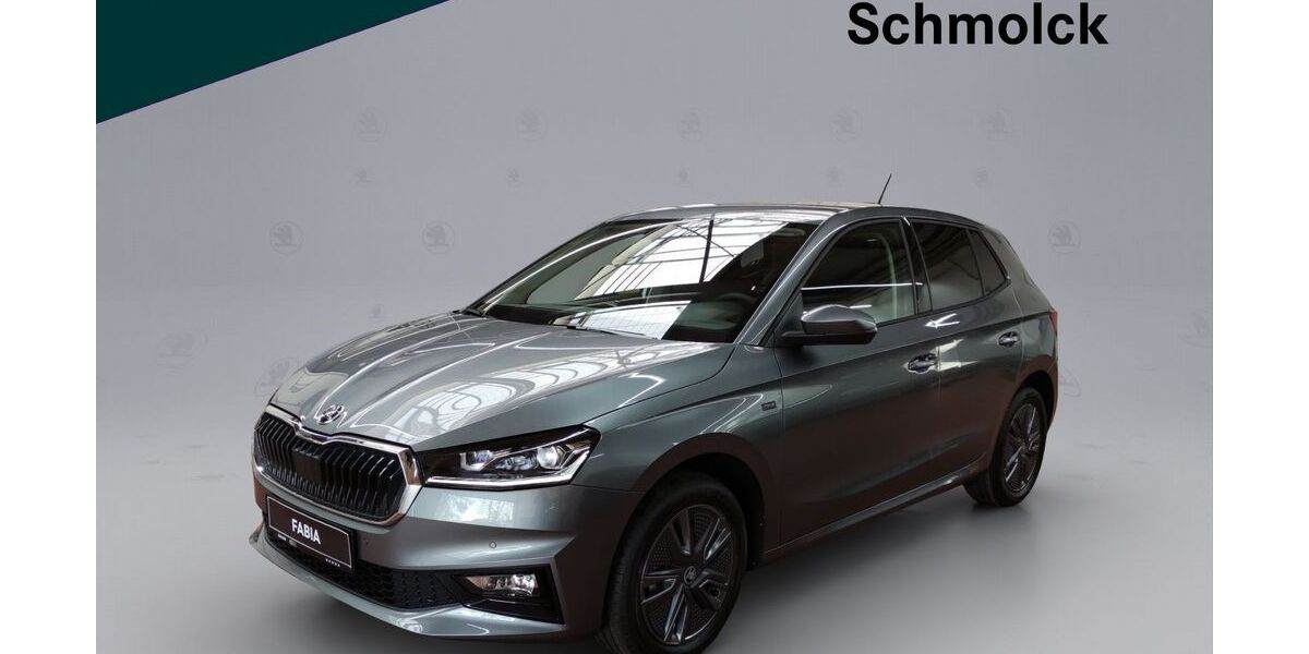 Skoda Fabia 3.000 km 17.990 &euro; Emmendingen 79312