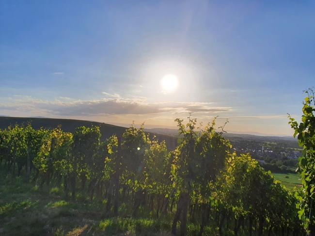 - Wohnen und Arbeiten in schönster Lage - 4 zimmer