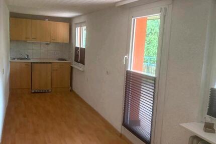 Einraumwohnung im Elztal 1 zimmer