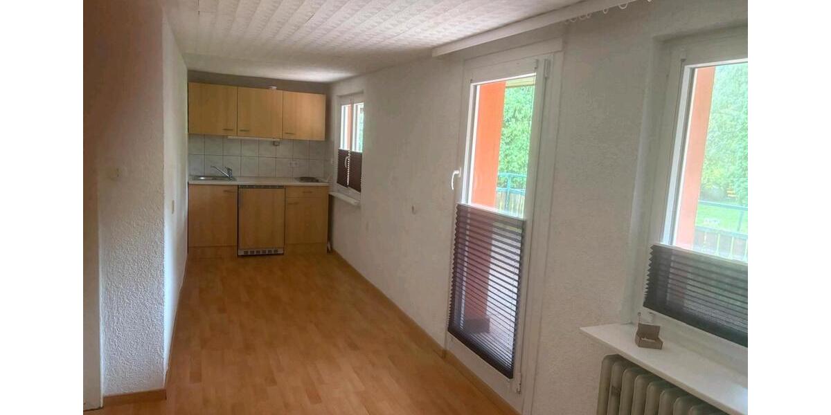 Einraumwohnung im Elztal 1 zimmer