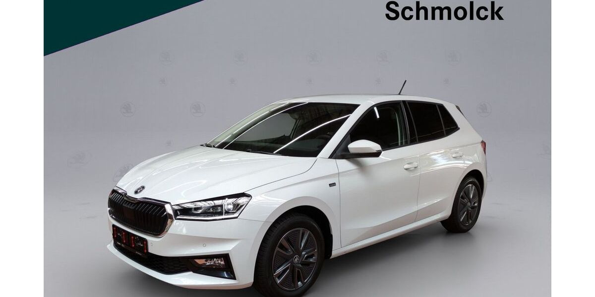 Skoda Fabia 9.000 km 17.890 &euro; Emmendingen 79312