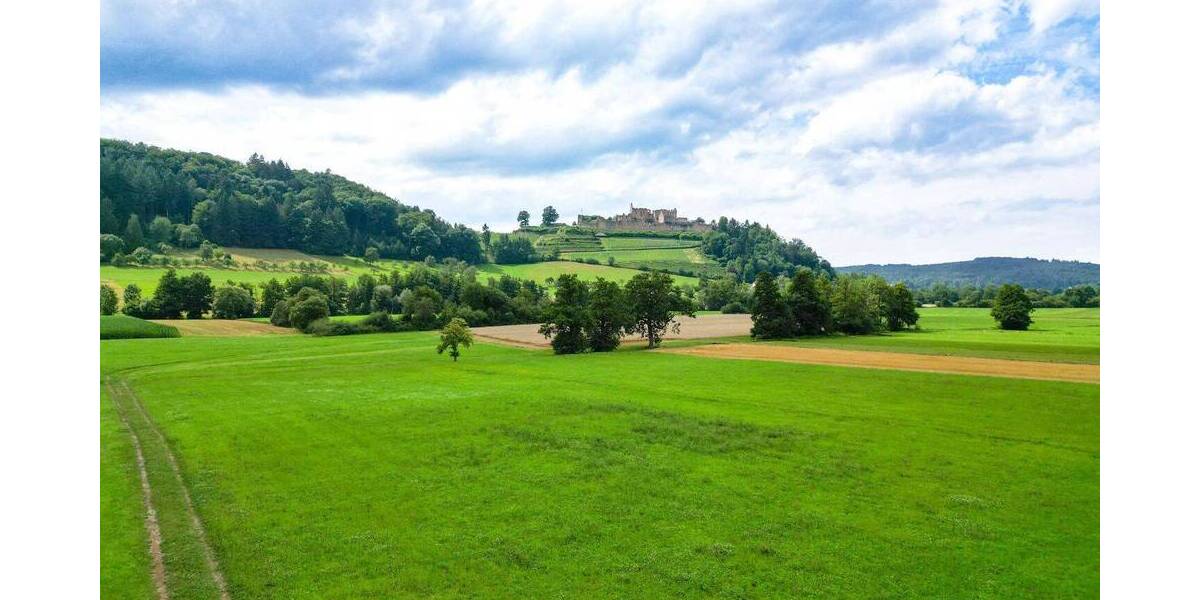 Grundstück Sexau - 550.000&euro; | Angebot:22634060