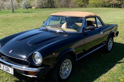 Fiat Spider Europa 24.500 km 26.500 &euro; Au 79280