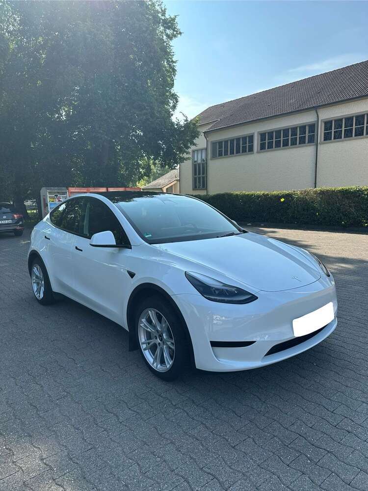 Model Y