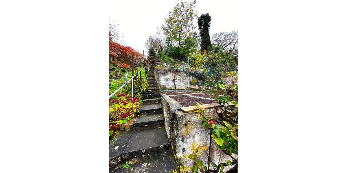 Mehrfamilienhaus, Wohnhaus Breisach am Rhein Breisach - 8 Zimmer, 158 m&sup2;, 399.000&euro; | Angebot:25692953