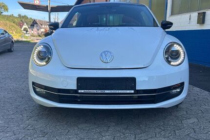 VW Beetle 177.268 km 6.990 € Vogtsburg im Kaiserstuhl 79235