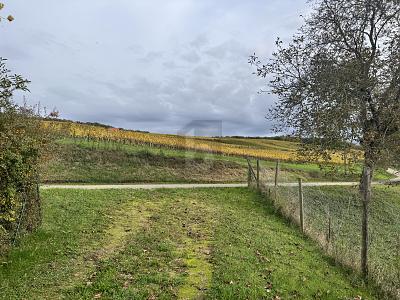 GUT UND NATURNAH GELEGEN zimmer