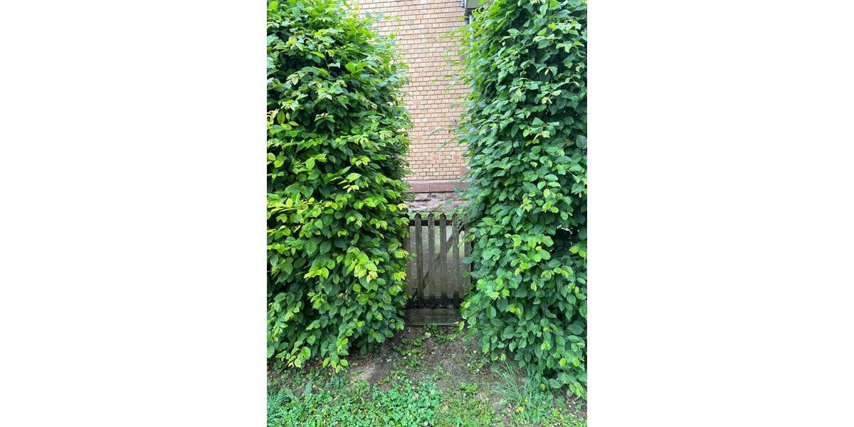 Erdgeschoßwohnung Breisach am Rhein - 4 Zimmer, 138 m&sup2;, 550.000&euro; | Angebot:25126755