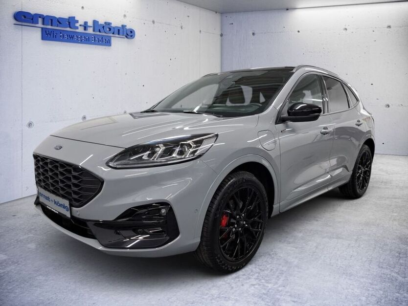 Kuga