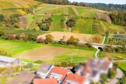 Wohnung zum Kaufen in Waldkirch 385.000 € 90 m² 3 zimmer