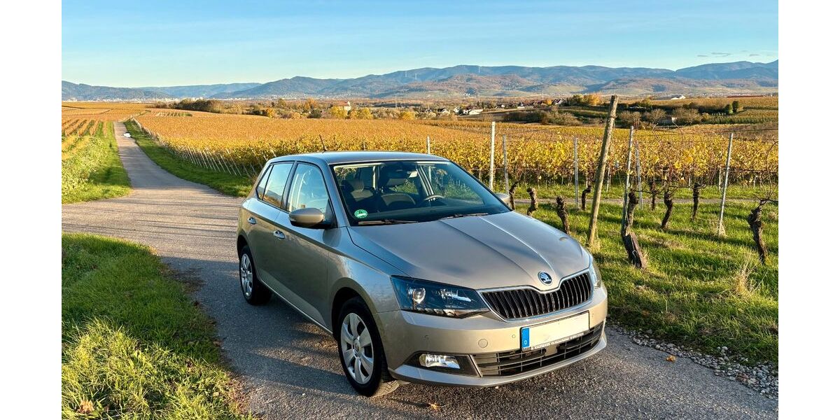 Skoda Fabia 112.332 km 9.500 &euro; Freiburg 79112
