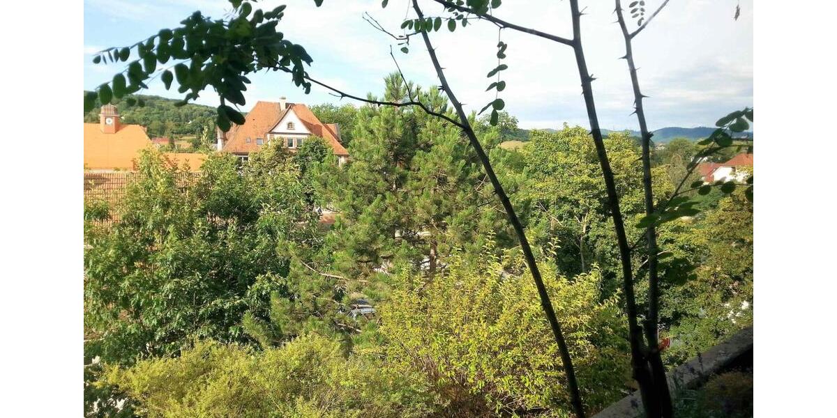 Dachgeschoßwohnung Emmendingen - 3.5 Zimmer, 110 m&sup2;, 399.000&euro; | Angebot:23488734