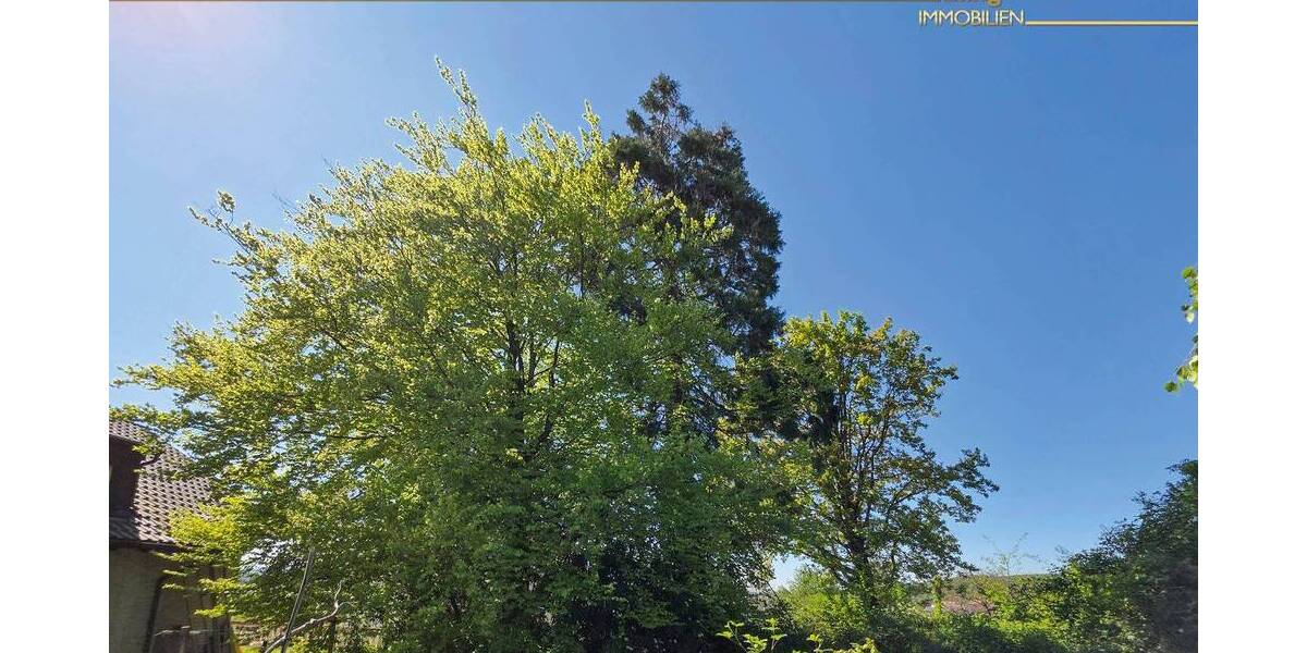 Mehrfamilienhaus, Wohnhaus Emmendingen Windenreute - 8 Zimmer, 259 m&sup2;, 790.000&euro; | Angebot:26500156