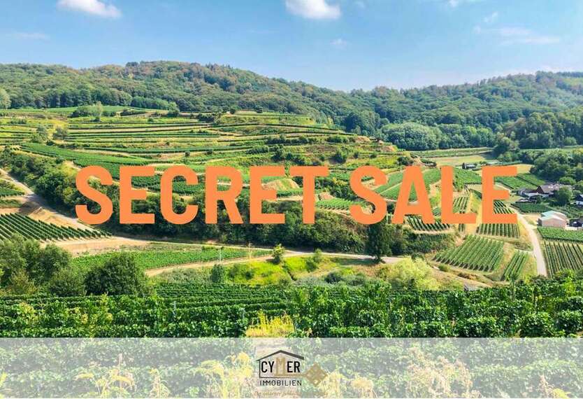 Haus zum Kaufen in Vogtsburg im Kaiserstuhl 549.000 € 120 m²