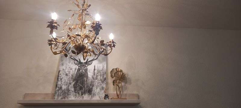 Wohnen auf Zeit in Schönwald im Schwarzwald 900 € 1 zimmer