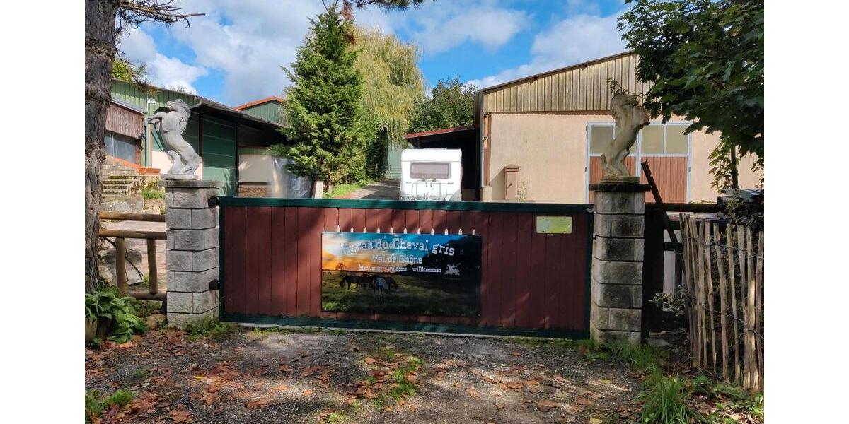 Einfamilienhaus Freiburg im Breisgau Brühl - 7 Zimmer, 250 m&sup2;, 1.380.000&euro; | Angebot:23603885