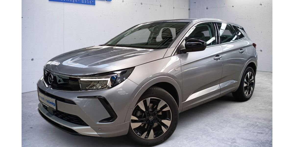Opel Grandland (X) 23.600 km 19.490 &euro; Freiburg im Breisgau 79108