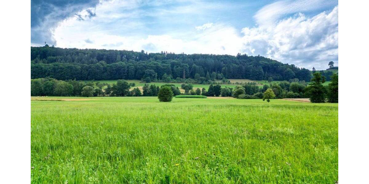 Grundstück Sexau - 550.000&euro; | Angebot:22634060