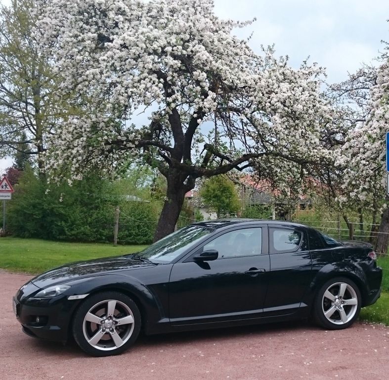 Mazda RX-8 80.635 km 9.000 € Denzlingen 79211