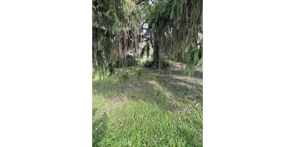 Mehrfamilienhaus, Wohnhaus Freiburg Zähringen - 6 Zimmer, 171 m&sup2;, 1.180.000&euro; | Angebot:25704993