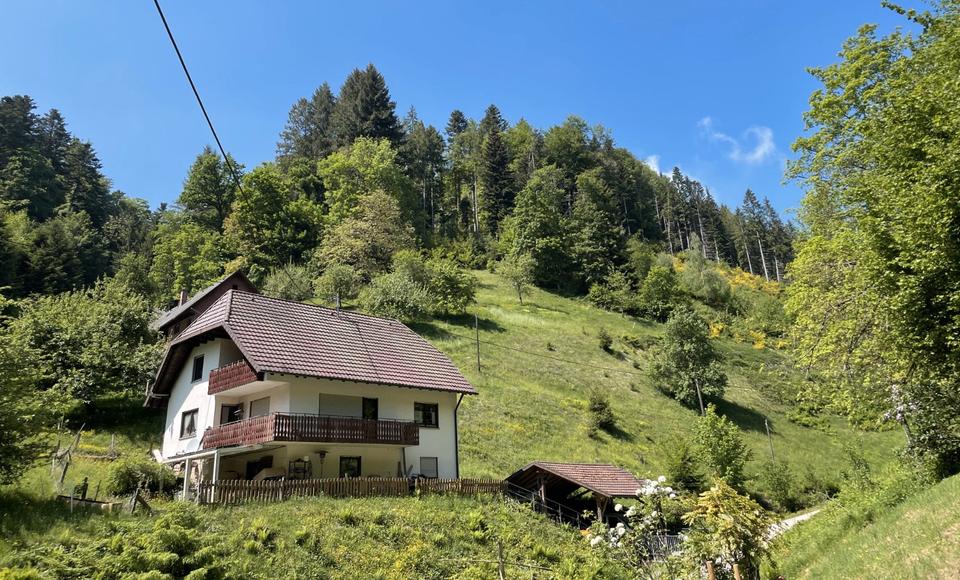 Mehrfamilienhaus, Wohnhaus Stegen - 9 Zimmer, 258 m&sup2;, 748.000&euro; | Angebot:26889303