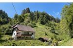 Mehrfamilienhaus, Wohnhaus Stegen - 9 Zimmer, 258 m&sup2;, 790.000&euro; | Angebot:26889303