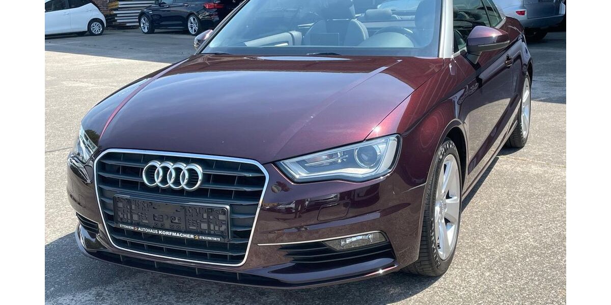 Audi A3 113.500 km 13.799 &euro; Herbolzheim 79336