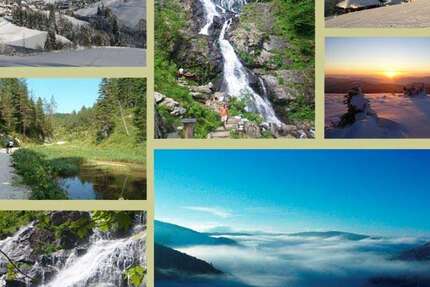 Wohnung zum Mieten in Todtnauberg 600 € 75 m² 2 zimmer