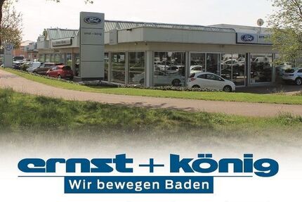 Ford Transit 48.430 km 36.980 &euro; Teningen-Köndringen 79331