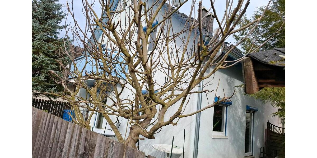 Etagenwohnung Vörstetten - 3 Zimmer, 100 m&sup2;, 1.350&euro; | Angebot:26121025