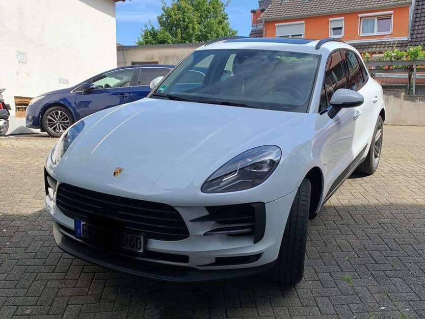 Macan