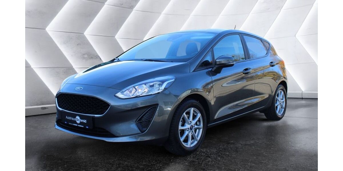 Ford Fiesta 98.000 km 8.900 &euro; Waldkirch 79183