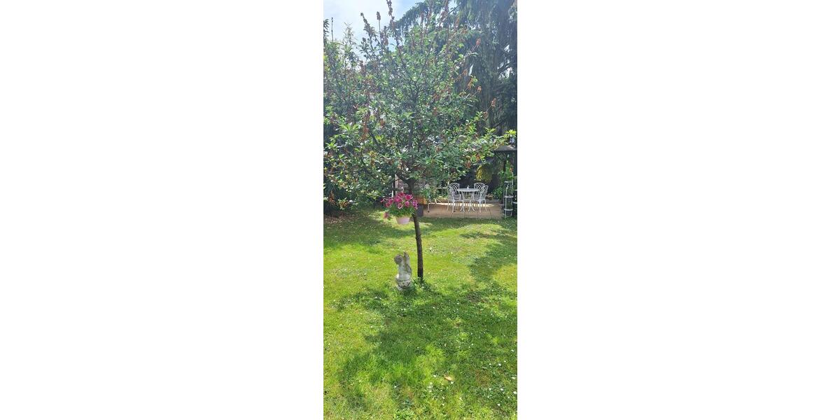 Einfamilienhaus Bad Krozingen - 8 Zimmer, 220 m&sup2;, 1.500.000&euro; | Angebot:26652449