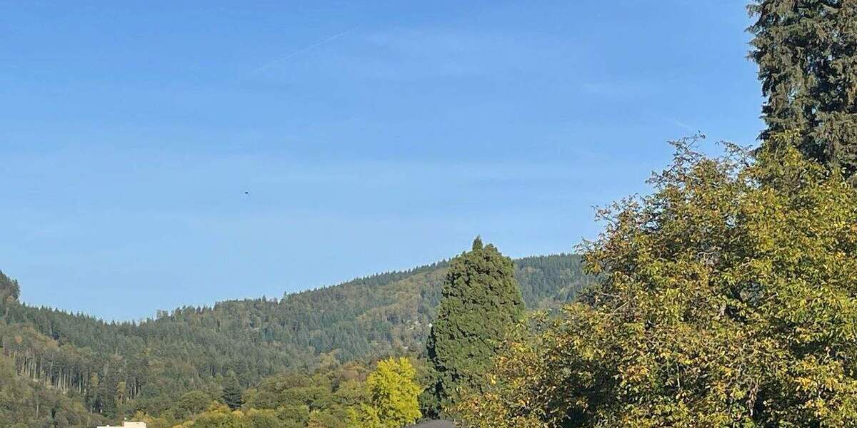 Etagenwohnung Badenweiler - 2 Zimmer, 70 m&sup2;, 245.000&euro; | Angebot:25669823