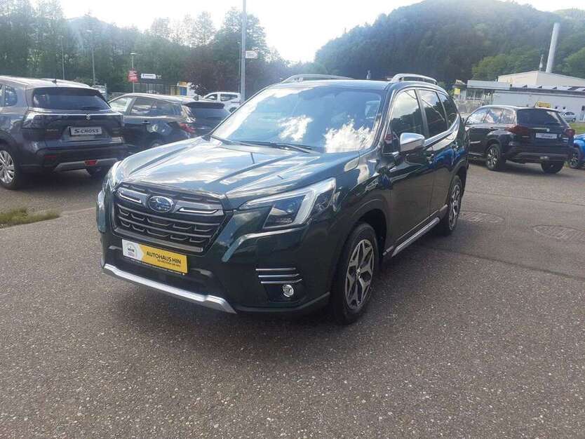 Forester