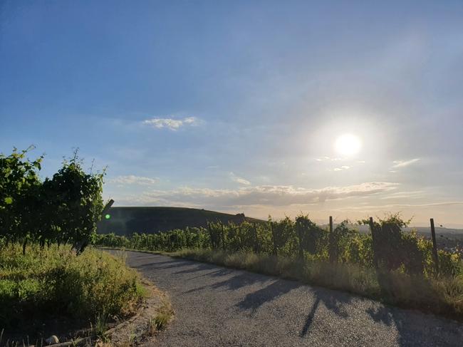 - Wohnen und Arbeiten in schönster Lage - 4 zimmer