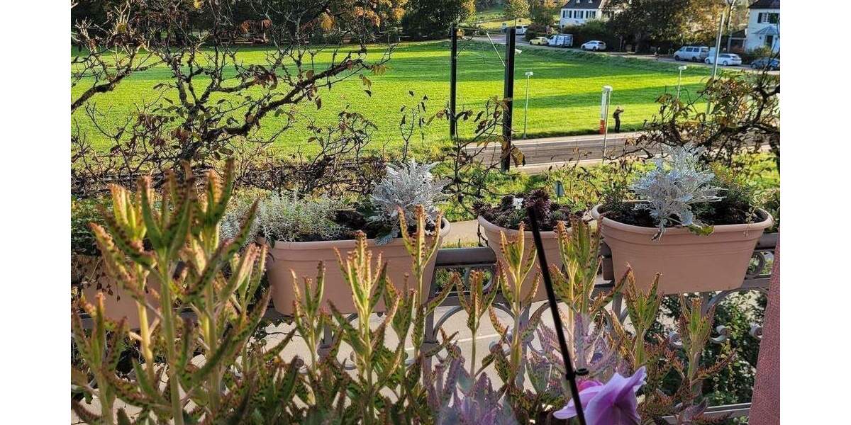 Mehrfamilienhaus, Wohnhaus Freiburg im Breisgau Günterstal - 1 Zimmer, 405 m&sup2;, 1.820.000&euro; | Angebot:25939281