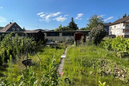 Wohnung Herbolzheim - 2.5 Zimmer, 65 m&sup2;, 930&euro; | Angebot:25300899