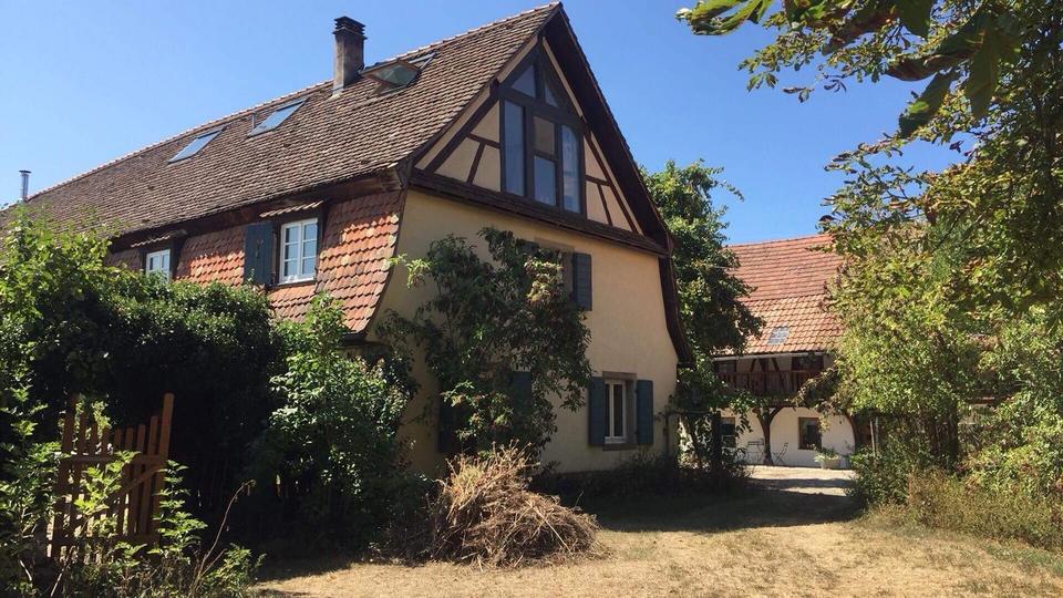 Etagenwohnung Breisach am Rhein - 5 Zimmer, 70 m&sup2;, 950&euro; | Angebot:25219336