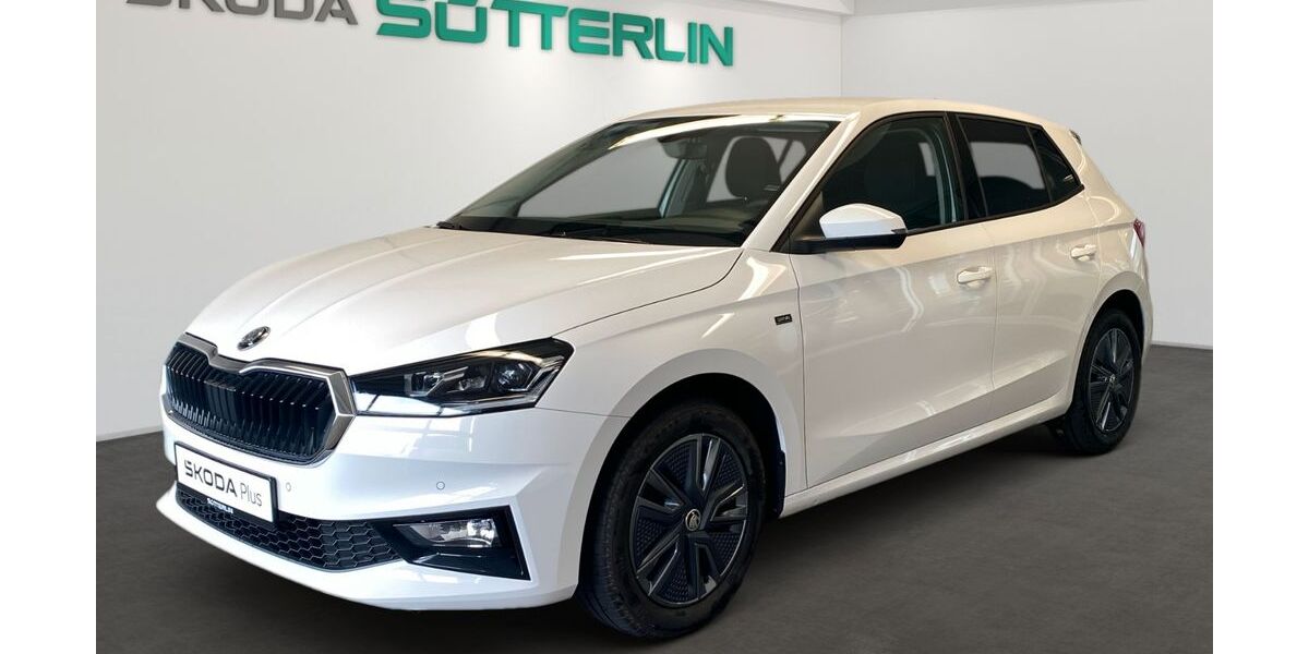 Skoda Fabia 3.550 km 19.930 &euro; Freiburg 79108