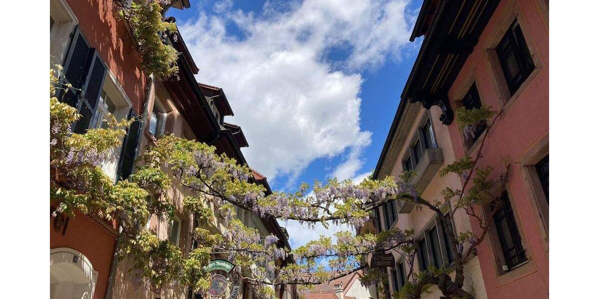 Etagenwohnung Freiburg Altstadt - 3 Zimmer, 135 m&sup2;, 699.000&euro; | Angebot:24992452