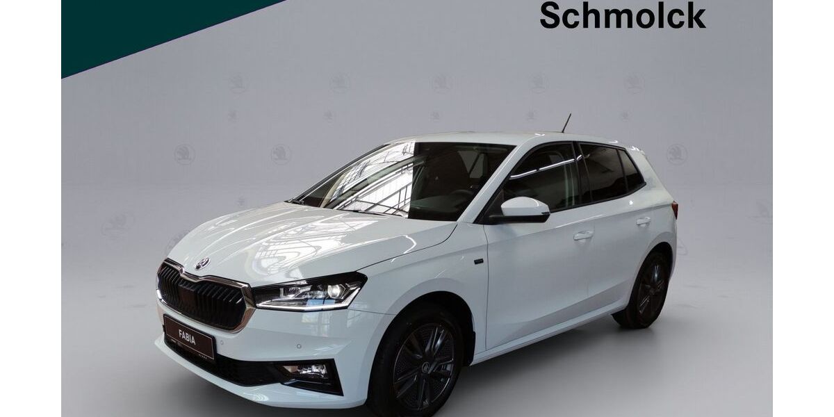 Skoda Fabia 13.000 km 17.890 &euro; Emmendingen 79312