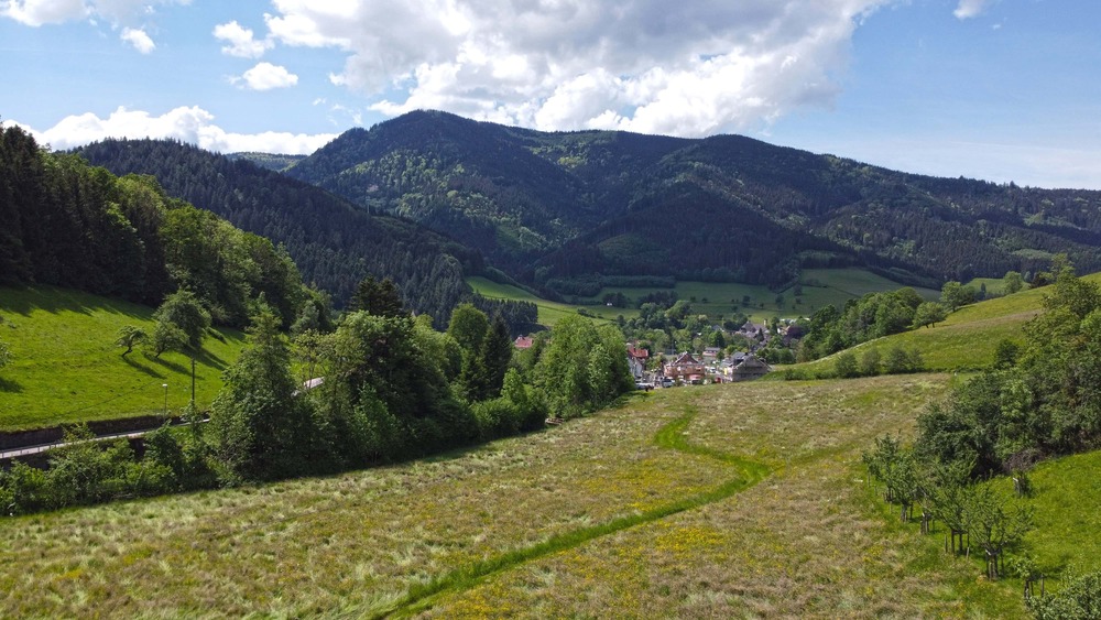 Gewerbeobjekt Simonswald - 2 Zimmer, 1.295.000&euro; | Angebot:25779079