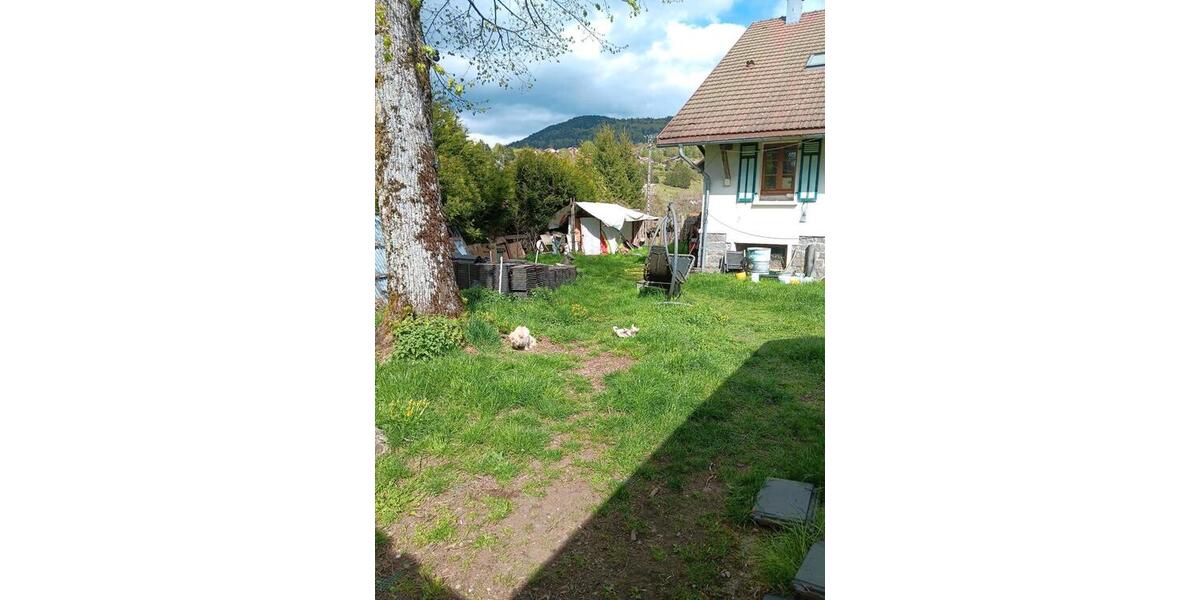 Einfamilienhaus Freiburg im Breisgau Brühl - 7 Zimmer, 175 m&sup2;, 220.000&euro; | Angebot:26855699