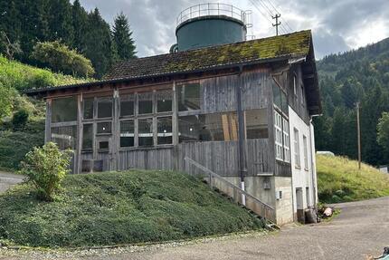 Gewerbeobjekt Winden im Elztal - 1.150&euro; | Angebot:25965027