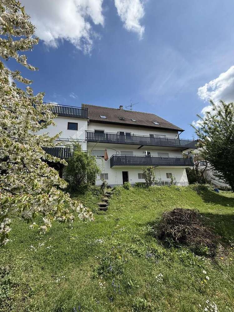 Haus zum Kaufen in Breisach 1.690.000 € 490 m²