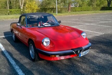 Alfa Romeo Spider 178.000 km 10.500 &euro; Breisach am Rhein 79206