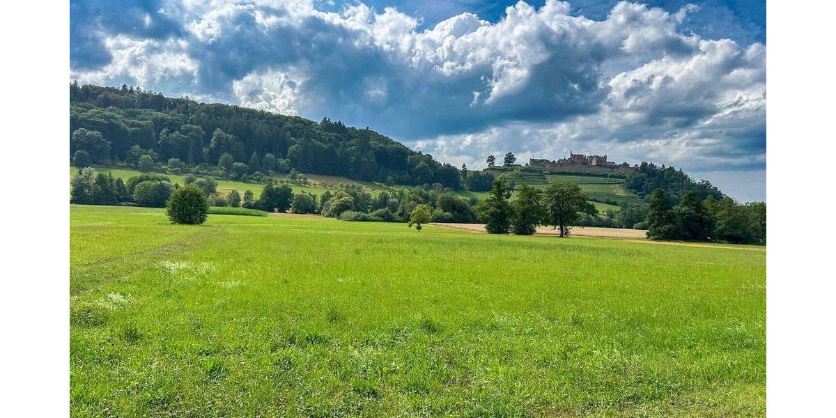 Grundstück Sexau - 550.000&euro; | Angebot:22634060