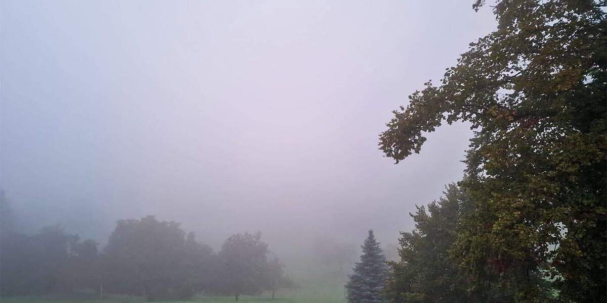 Grundstück Wittnau Biezighofen - 530.000&euro; | Angebot:25214229