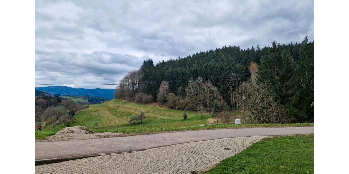 Erdgeschoßwohnung Elzach - 2 Zimmer, 80 m&sup2;, 900&euro; | Angebot:26035391